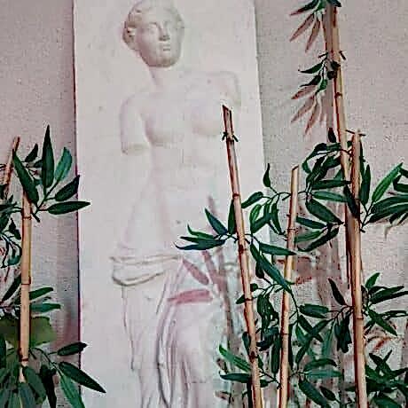 salsa ankara dans akademi